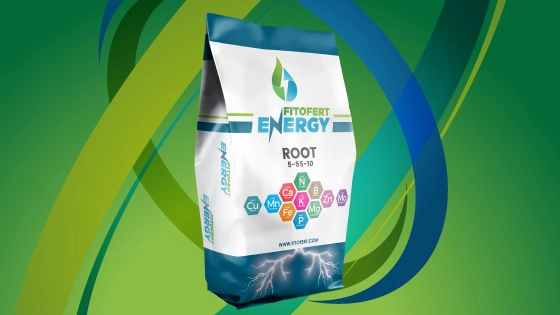 FITOFERT Energy Root 5-55-10