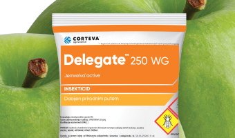 Delegate