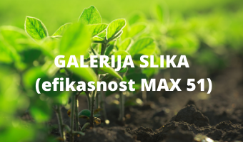 MAX 51- galerija slika