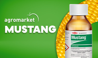 baner produkt mustang