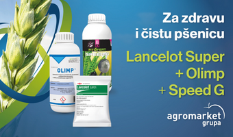 LANCELOT SUPER PROBA