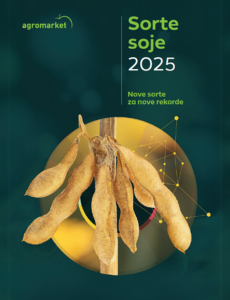 Sorte soje 2025