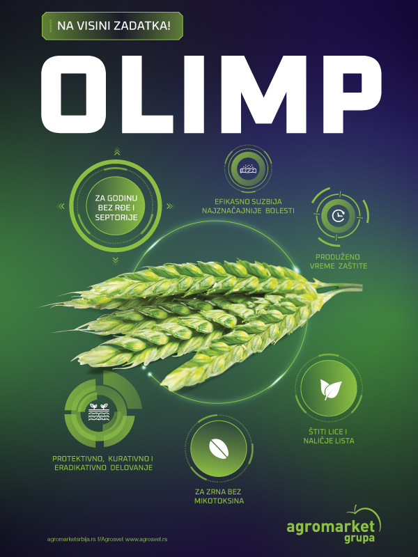 Olimp 2022