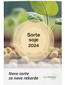 Sorte soje 2024