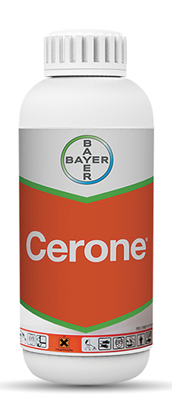 CERONE