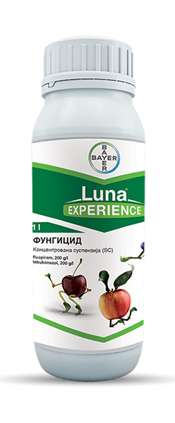 LUNA EXPERIENCE