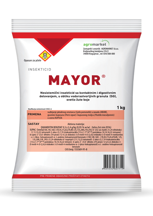 MAYOR