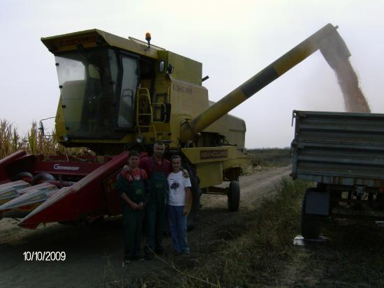 Kukuruz - Gajdobra 2009