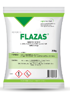 FLAZAS