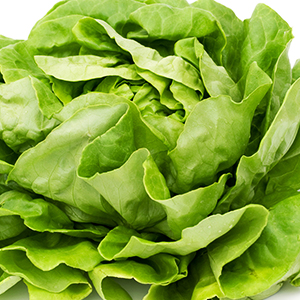 Salata, spanać, blitva, endevija, radič